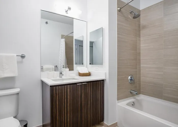 Loop 1br W Gym Pool Wd Nr Millennium Park Chi-237