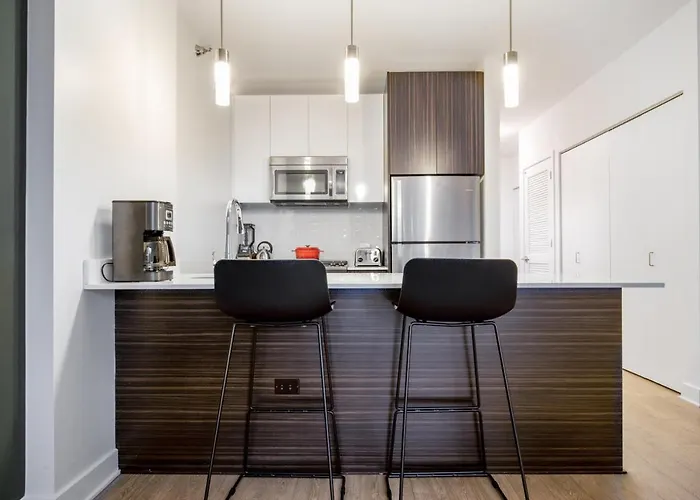 Loop 1br W Gym Pool Wd Nr Millennium Park Chi-237 * Chicago